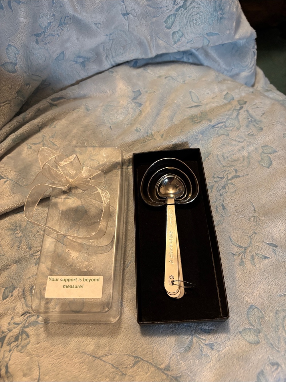 Set of Stainless Steel Nesting Heart Measuring Spoons - Silver